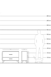 Arges Şifonyer 2 Çekmeceli 88x30x64 Antrasit-Çam