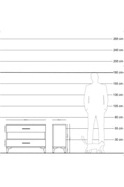 Arges Şifonyer Tek Raflı 2 Çekmeceli 88x30x64 Çam-Aytaşı