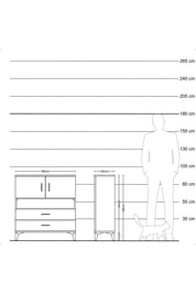 Arges Şifonyer 3 Raflı 2 Çekmeceli 2 Kapaklı 88x30x96 Antrasit-Antrasit
