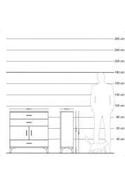Arges Şifonyer 2 Raflı 3 Çekmeceli 2 Kapaklı 88x30x96 Antrasit-Antrasit
