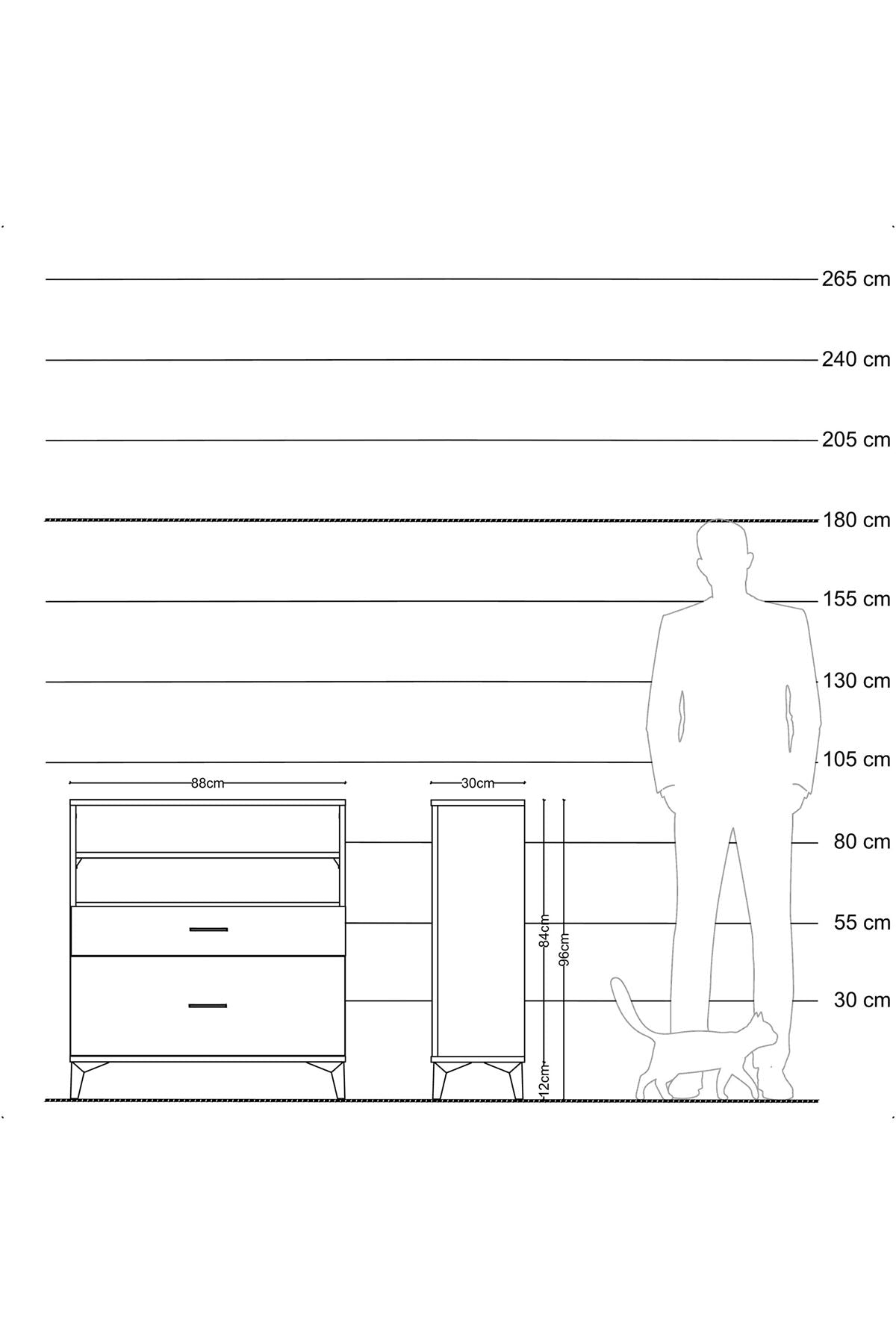 Arges Şifonyer 2 Raflı 2 Çekmeceli 88x30x96 Çam-Antrasit