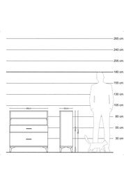Arges Şifonyer 2 Raflı 2 Çekmeceli 88x30x96 Çam-Antrasit