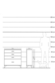 Arges Şifonyer 4 Çekmeceli 88x30x96 Antrasit-Çam