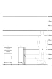 Arges Komodin Tek Raflı 2 Çekmeceli Tek Kapaklı 44x30x96 Çam-Çam