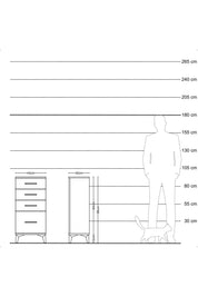 Arges Komodin 4 Çekmeceli 44x30x96 Antrasit-Çam