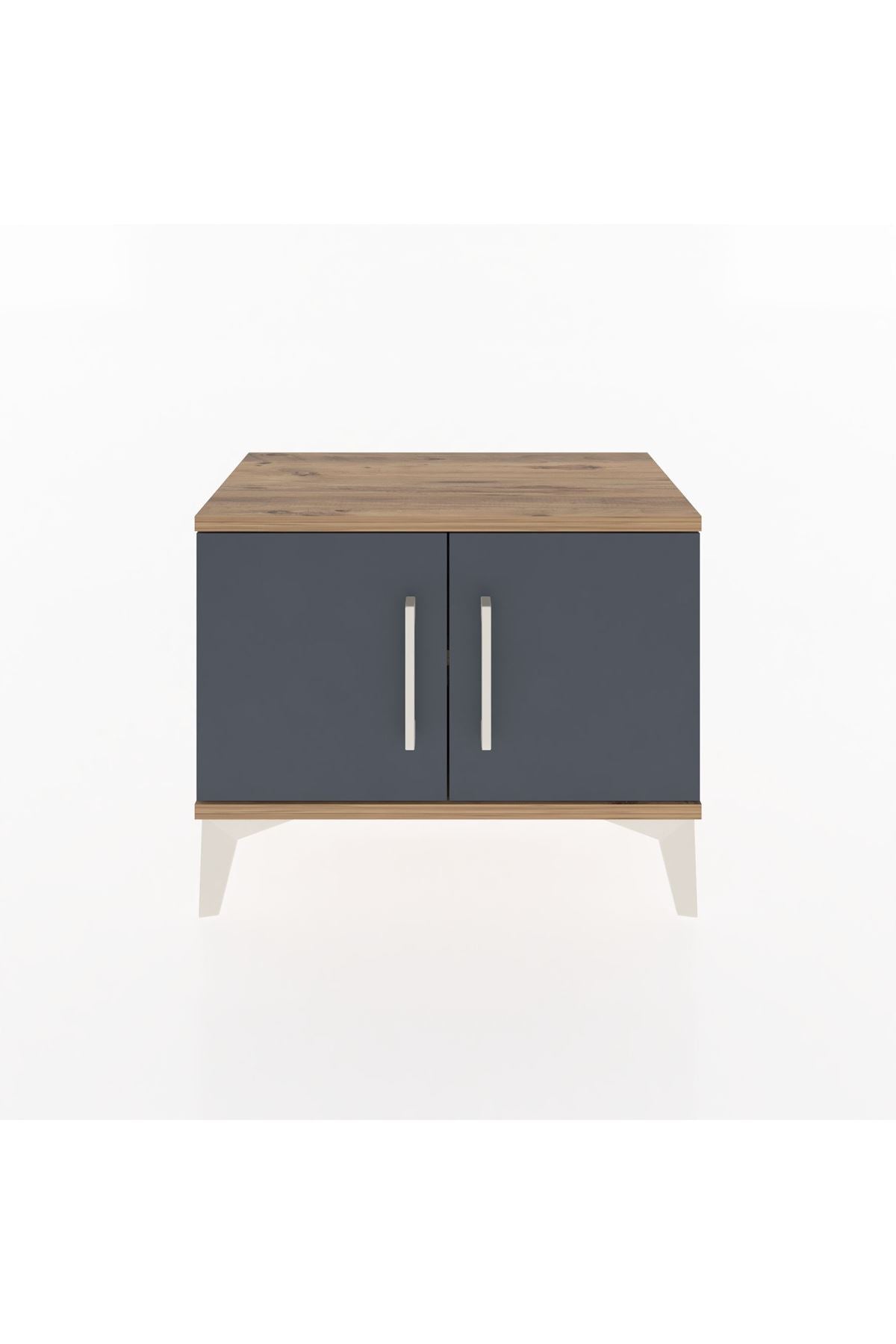 Arges Komodin Tek Raflı 2 Kapaklı 60x30x48 Çam-Antrasit