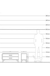 Hyperion Şifonyer 2 Çekmeceli 88x44x48 Çam-Çam