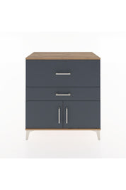 Hyperion Şifonyer Tek Raflı 2 Çekmeceli 2 Kapaklı 88x44x96 Çam-Antrasit