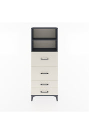 Arges Dolap 2 Raflı 4 Çekmeceli 60x30x163 Antrasit-Aytaşı