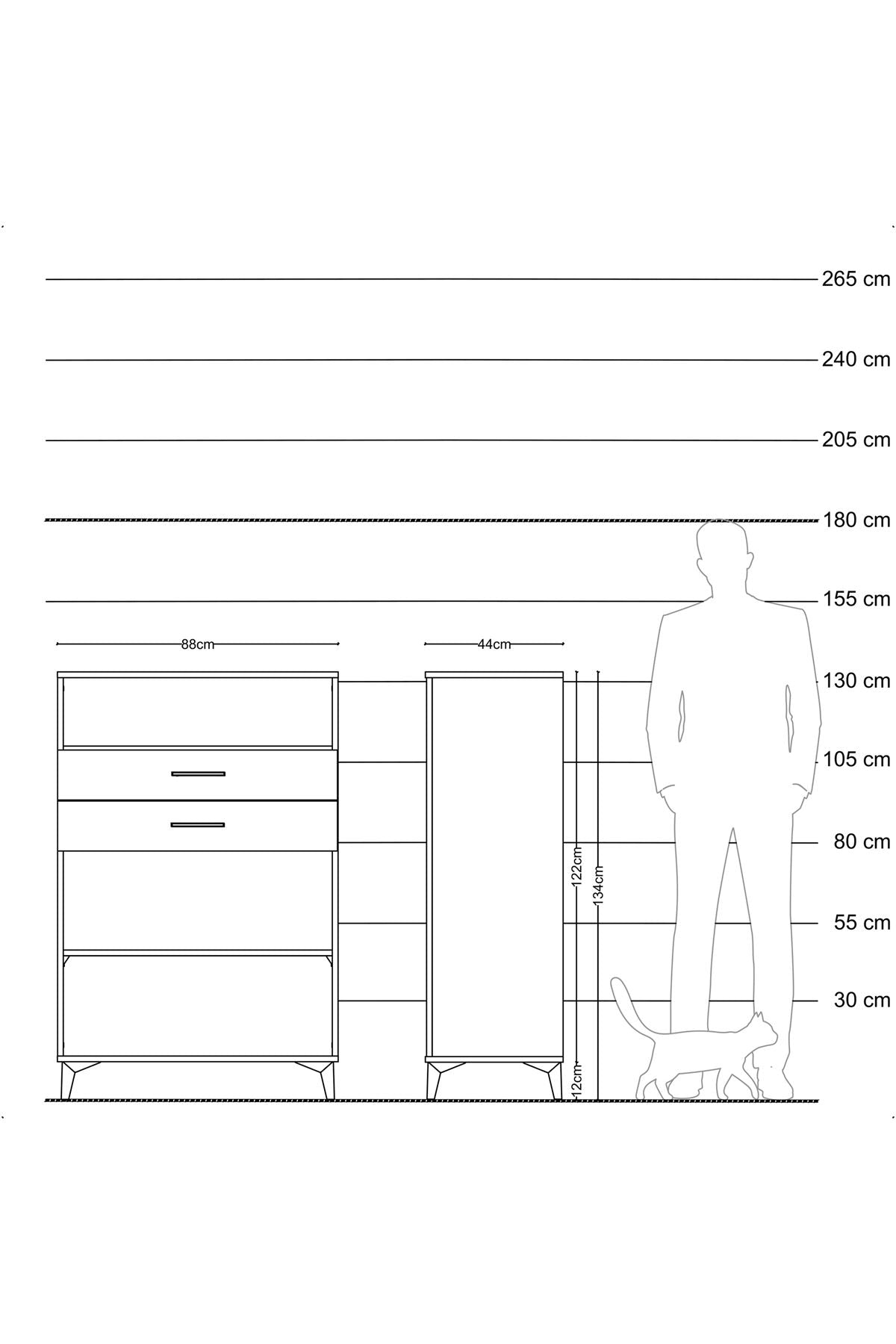 Hyperion Dolap 2 Raflı 2 Çekmeceli 88x44x134 Antrasit-Çam