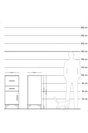 Hyperion Komodin 2 Çekmeceli Tek Kapaklı 44x44x106 Çam-Antrasit
