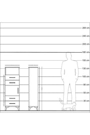 Arges Dolap 2 Raflı 4 Çekmeceli Tek Kapaklı 44x30x134 Antrasit-Çam