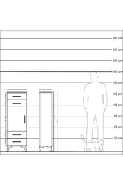 Arges Dolap 2 Raflı 4 Çekmeceli Tek Kapaklı 44x30x134 Çam-Antrasit