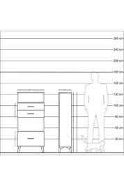 Arges Dolap 2 Raflı 3 Çekmeceli 60x30x134 Çam-Antrasit