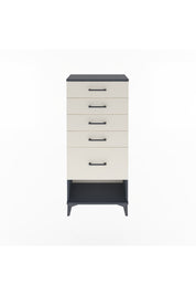 Arges Dolap 5 Çekmeceli 60x30x134 Antrasit-Aytaşı