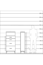 Arges Dolap Tek Raflı 4 Çekmeceli 60x30x134 Çam-Antrasit