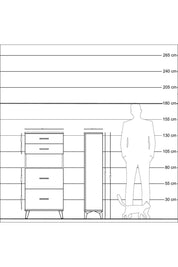 Arges Dolap Tek Raflı 4 Çekmeceli 60x30x134 Çam-Aytaşı