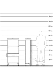 Arges Dolap 2 Raflı Tek Çekmeceli 60x30x134 Antrasit-Çam