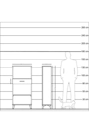 Arges Dolap 2 Raflı Tek Çekmeceli 60x30x134 Çam-Antrasit