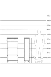 Arges Dolap 2 Raflı Tek Çekmeceli 60x30x134 Çam-Antrasit
