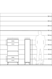 Arges Dolap 2 Raflı 4 Çekmeceli 60x30x134 Çam-Antrasit