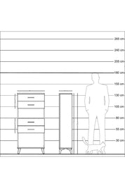Arges Dolap Tek Raflı 4 Çekmeceli 60x30x134 Aytaşı-Antrasit