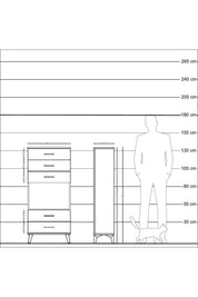 Arges Dolap Tek Raflı 5 Çekmeceli 60x30x134 Antrasit-Antrasit