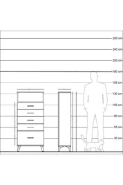 Arges Dolap Tek Raflı 5 Çekmeceli 60x30x134 Çam-Antrasit