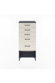 Arges Dolap 5 Çekmeceli 60x30x134 Antrasit-Aytaşı