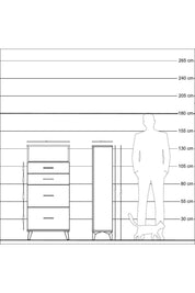 Arges Dolap Tek Raflı 4 Çekmeceli 60x30x134 Aytaşı-Antrasit