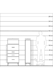 Arges Dolap Tek Raflı 4 Çekmeceli 60x30x134 Çam-Antrasit