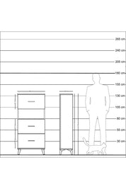 Arges Dolap Tek Raflı 3 Çekmeceli 60x30x134 Antrasit-Çam