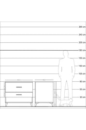 Kronos Şifonyer 2 Çekmeceli 88x59x80 Aytaşı-Çam