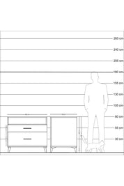 Kronos Şifonyer Tek Raflı 2 Çekmeceli 88x59x80 Çam-Antrasit