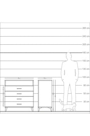 Kronos Şifonyer Tek Raflı 4 Çekmeceli 88x59x96 Antrasit-Çam