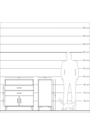 Kronos Şifonyer 2 Raflı 2 Çekmeceli 2 Kapaklı 88x59x96 Çam-Antrasit
