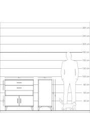 Kronos Şifonyer 2 Raflı 2 Çekmeceli 2 Kapaklı 88x59x96 Çam-Çam