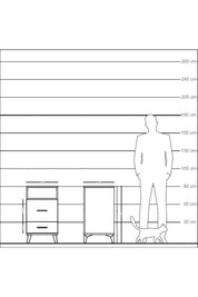Kronos Komodin Tek Raflı 2 Çekmeceli 44x59x80 Aytaşı-Çam