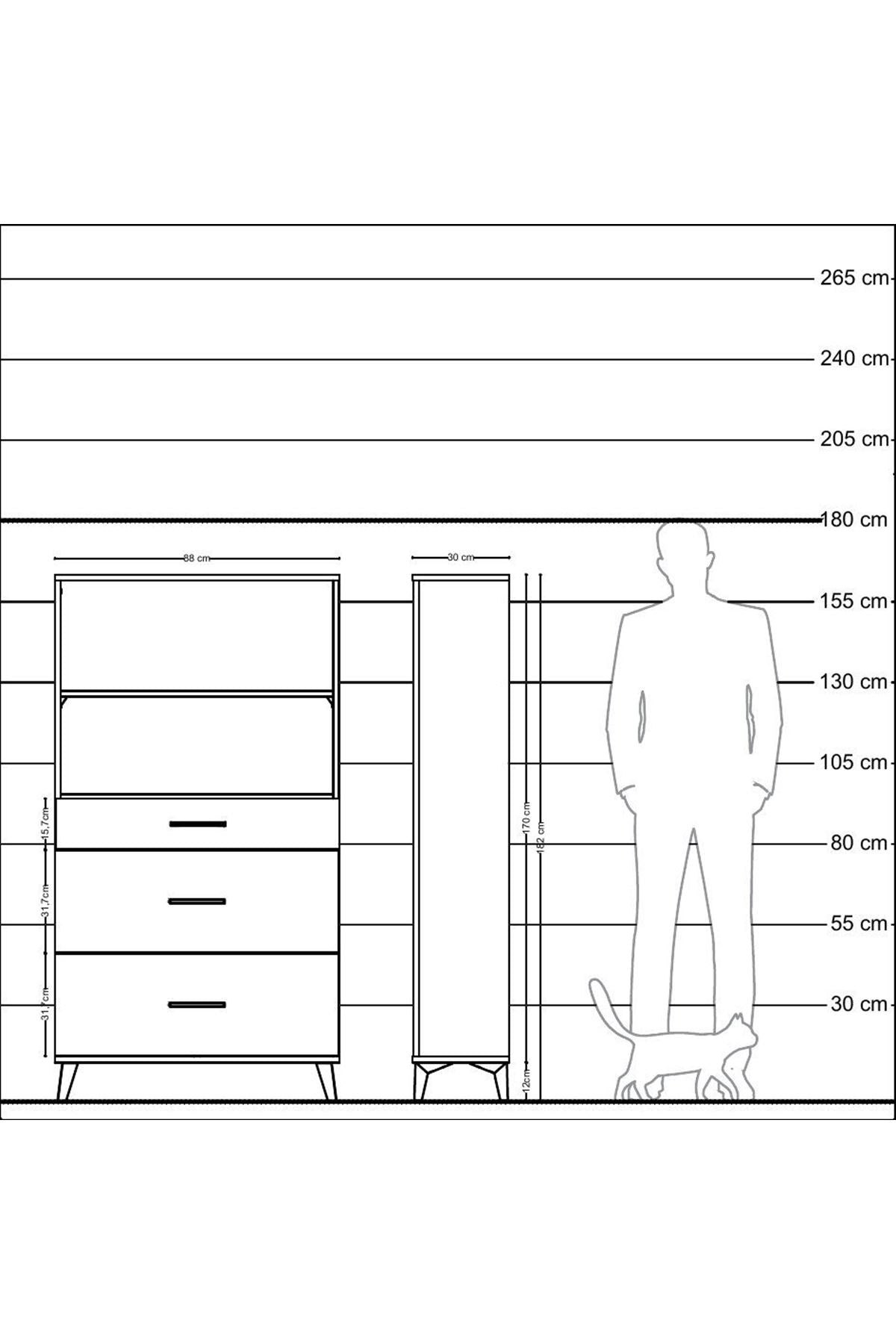 Arges Dolap 2 Raflı 3 Çekmeceli 88x30x163 Antrasit-Antrasit