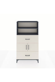 Arges Dolap 3 Raflı 2 Çekmeceli 2 Kapaklı 88x30x163 Antrasit-Aytaşı