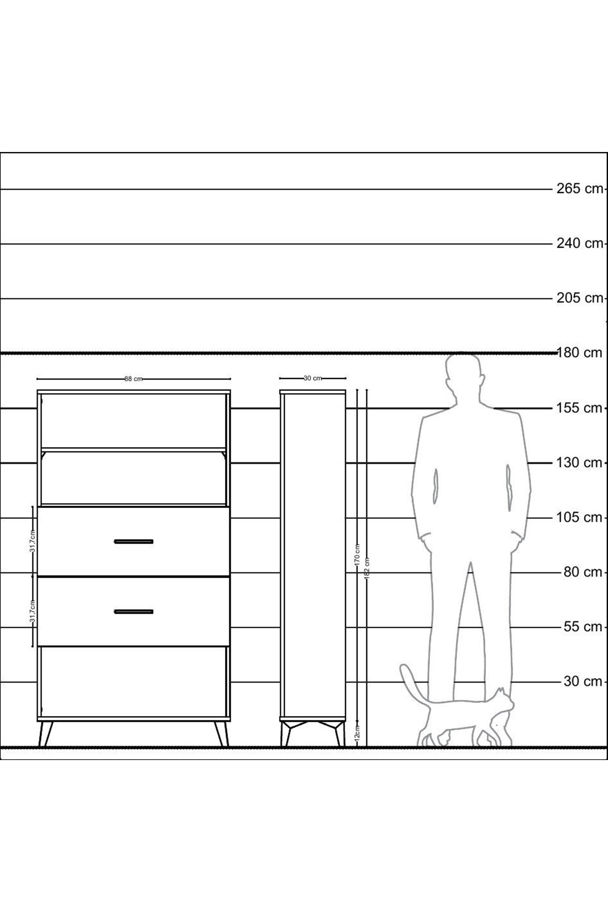 Arges Dolap 2 Raflı 2 Çekmeceli 88x30x163 Antrasit-Antrasit