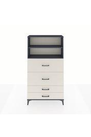 Arges Dolap 2 Raflı 4 Çekmeceli 88x30x163 Antrasit-Aytaşı