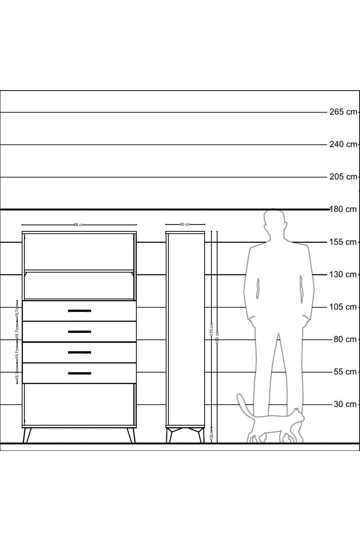 Arges Dolap 2 Raflı 4 Çekmeceli 88x30x163 Antrasit-Antrasit