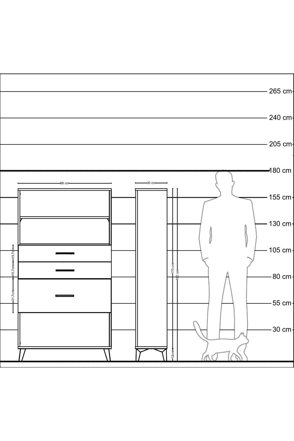 Arges Dolap 2 Raflı 3 Çekmeceli 88x30x163 Antrasit-Antrasit