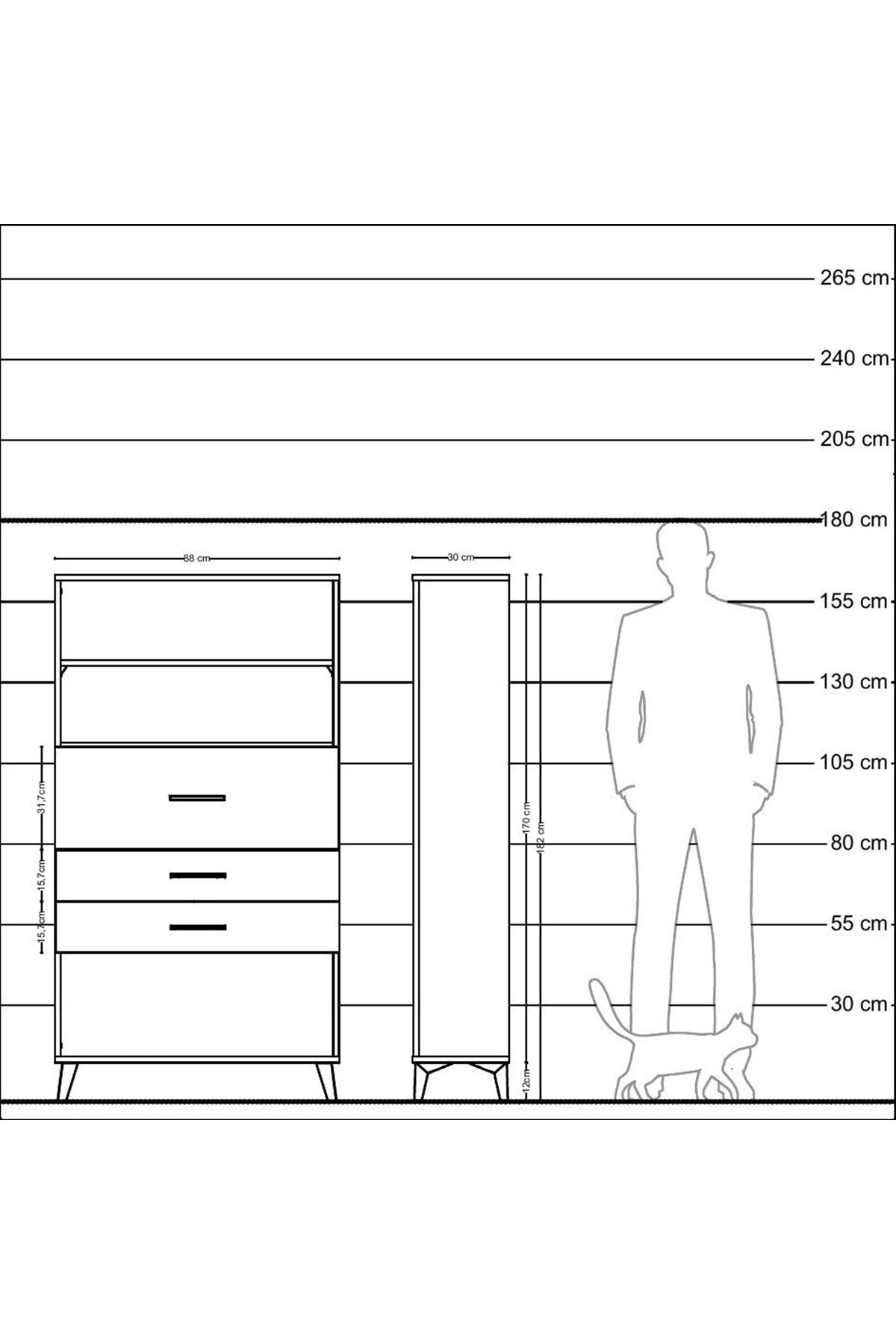Arges Dolap 2 Raflı 3 Çekmeceli 88x30x163 Antrasit-Antrasit