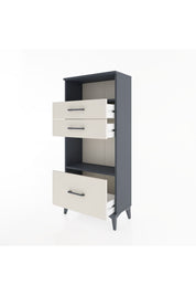 Hyperion Dolap 2 Raflı 3 Çekmeceli 60x44x134 Antrasit-Aytaşı