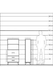 Hyperion Dolap 2 Raflı 3 Çekmeceli 60x44x134 Çam-Antrasit