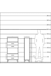 Hyperion Dolap 2 Raflı 4 Çekmeceli 60x44x134 Çam-Antrasit