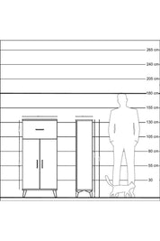 Hyperion Dolap 2 Raflı Tek Çekmeceli 2 Kapaklı 60x44x134 Çam-Çam