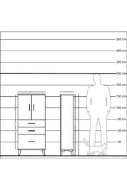Hyperion Dolap 2 Raflı 3 Çekmeceli 2 Kapaklı 60x44x134 Çam-Antrasit
